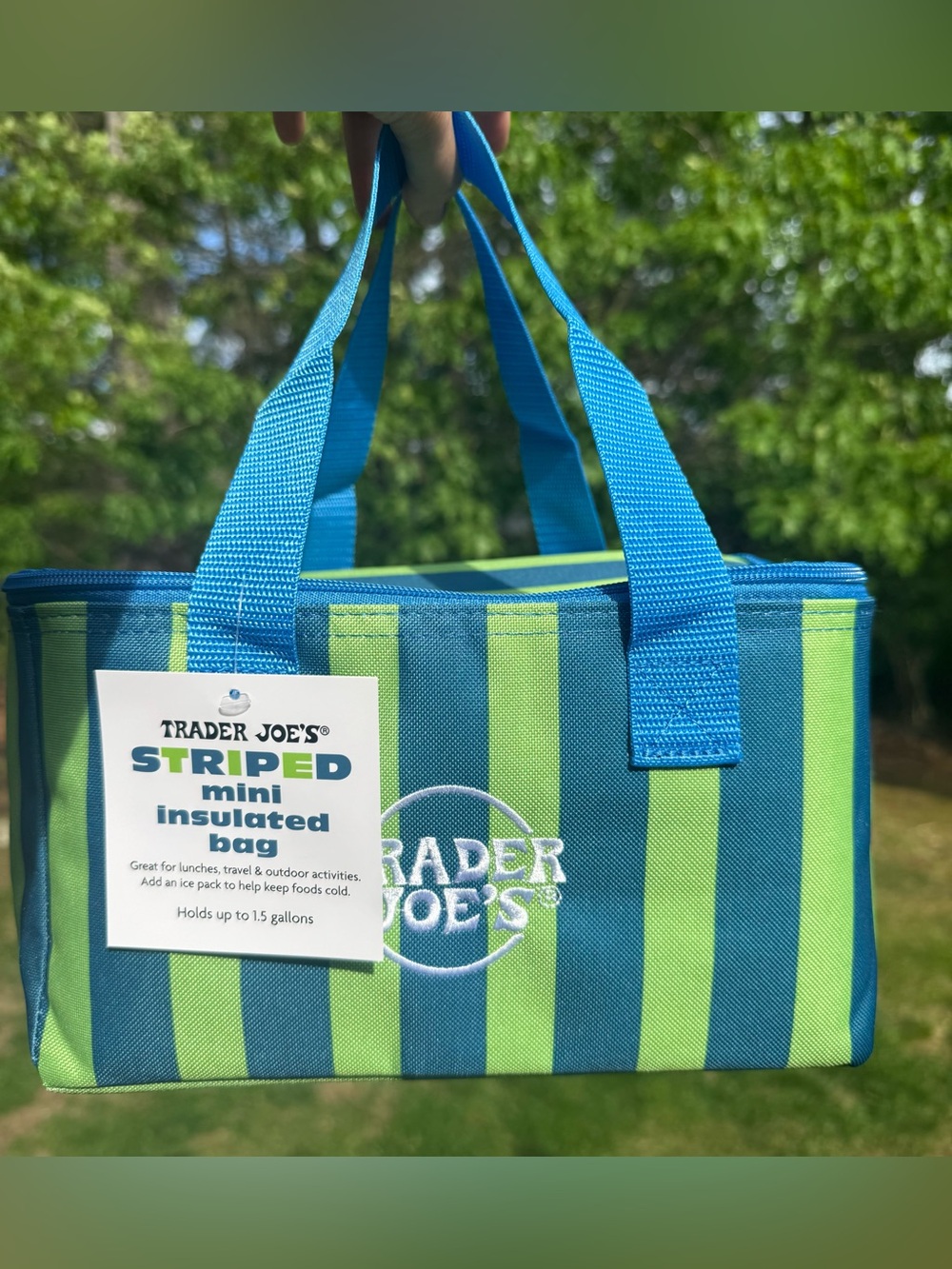 Viral Sold Out Trader Joe’s Mini Insulated Tote Summer Collection 2026
